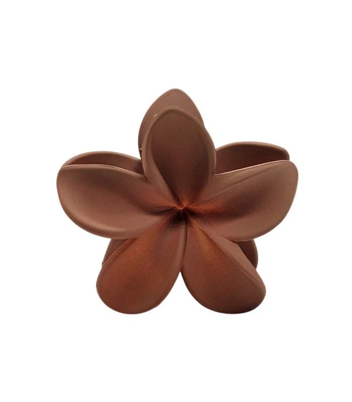 juukseklamber-matt-pruun-ois-9053229FJ01E3-1.webp juukseklamber-matt-pruun-ois-9053229FJ01E3-1.webp