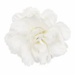 juukseklamber-valge-lilleois-90545UK0019E2.webp